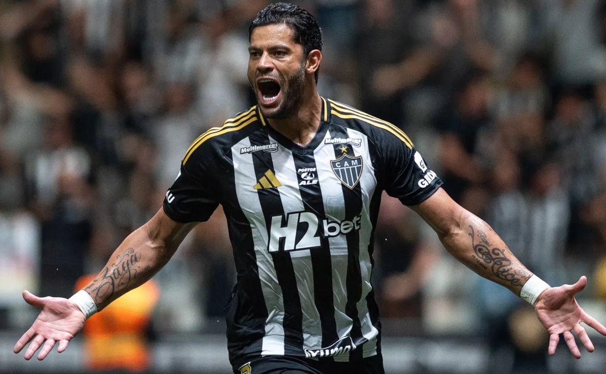 image para ilustrar o artigo